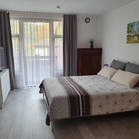 Gemuetliche Ferienwohnung Am Kurpark In Bad Herrenalb Buitenkant foto